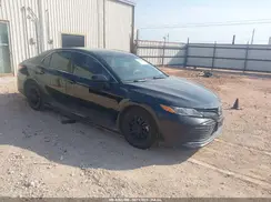 4T1B11HK9KU725556 2019 TOYOTA CAMRY