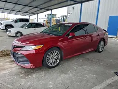 4T1B11HK9KU726979 2019 TOYOTA CAMRY