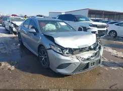 4T1B11HK9KU736329 2019 TOYOTA CAMRY