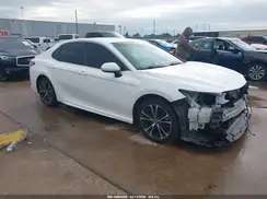 4T1B11HK9KU741305 2019 TOYOTA CAMRY