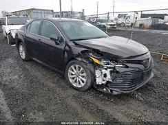 4T1B11HK9KU744852 2019 TOYOTA CAMRY