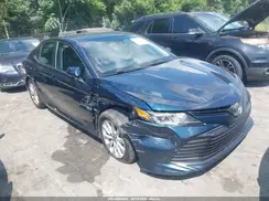 4T1B11HK9KU750084 2019 TOYOTA CAMRY