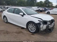 4T1B11HK9KU756404 2019 TOYOTA CAMRY