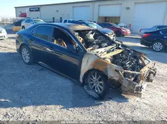 4T1B11HK9KU764504 2019 TOYOTA CAMRY