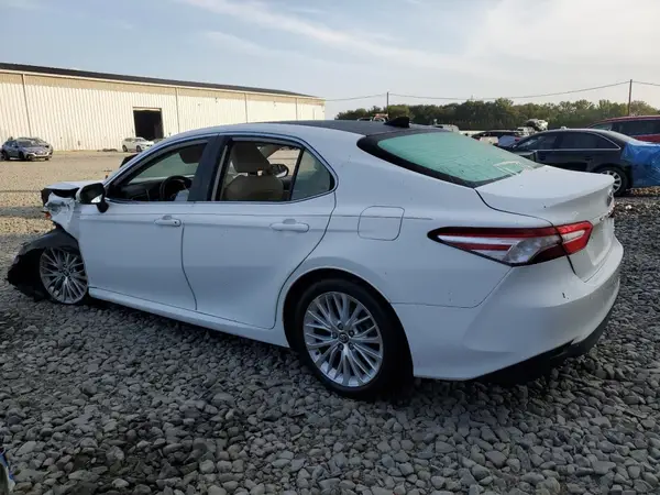 4T1B11HK9KU765166 2019 TOYOTA CAMRY - Image 2