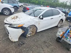 4T1B11HK9KU767791 2019 TOYOTA CAMRY