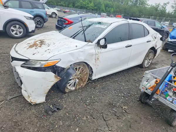 4T1B11HK9KU767791 2019 TOYOTA CAMRY - Image 1