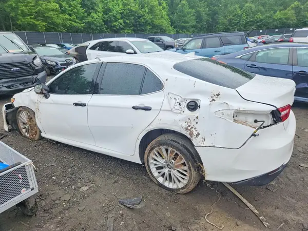 4T1B11HK9KU767791 2019 TOYOTA CAMRY - Image 2