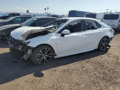4T1B11HK9KU769783 2019 TOYOTA CAMRY