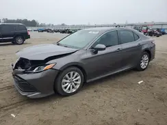 4T1B11HK9KU771288 2019 TOYOTA CAMRY