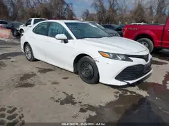4T1B11HK9KU773784 2019 TOYOTA CAMRY