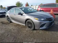 4T1B11HK9KU774448 2019 TOYOTA CAMRY