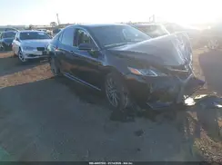 4T1B11HK9KU774496 2019 TOYOTA CAMRY