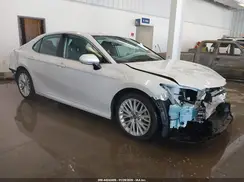 4T1B11HK9KU781951 2019 TOYOTA CAMRY