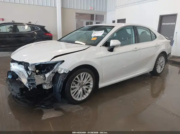 4T1B11HK9KU781951 2019 TOYOTA CAMRY - Image 2