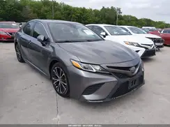 4T1B11HK9KU782081 2019 TOYOTA CAMRY