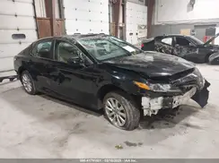 4T1B11HK9KU799978 2019 TOYOTA CAMRY