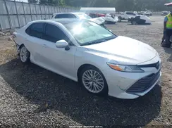 4T1B11HK9KU802491 2019 TOYOTA CAMRY