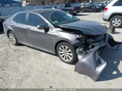 4T1B11HK9KU810347 2019 TOYOTA CAMRY