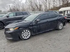 4T1B11HK9KU811059 2019 TOYOTA CAMRY