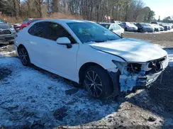 4T1B11HK9KU812261 2019 TOYOTA CAMRY