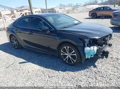 4T1B11HK9KU814060 2019 TOYOTA CAMRY