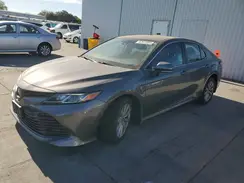 4T1B11HK9KU818853 2019 TOYOTA CAMRY