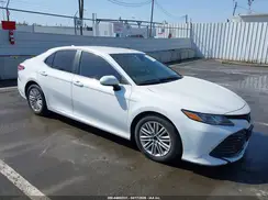 4T1B11HK9KU820196 2019 TOYOTA CAMRY