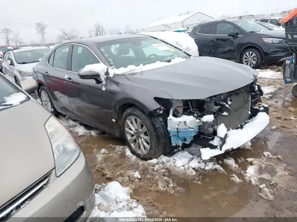 4T1B11HK9KU838861 2019 TOYOTA CAMRY - Image 1