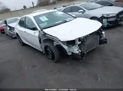 4T1B11HK9KU845115 2019 TOYOTA CAMRY