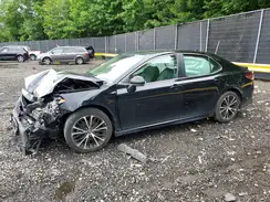 4T1B11HK9KU845230 2019 TOYOTA CAMRY