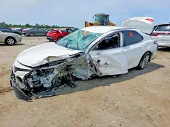 4T1B11HK9KU849312 2019 TOYOTA CAMRY
