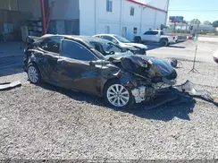 4T1B11HK9KU856597 2019 TOYOTA CAMRY