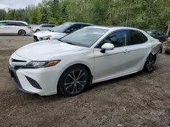 4T1B11HKXKU166437 2019 TOYOTA CAMRY