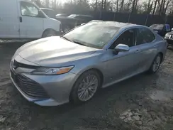 4T1B11HKXKU170343 2019 TOYOTA CAMRY