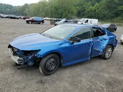 4T1B11HKXKU174392 2019 TOYOTA CAMRY