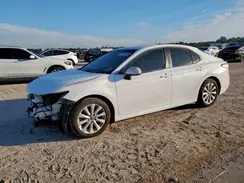 4T1B11HKXKU177423 2019 TOYOTA CAMRY