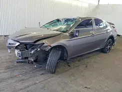 4T1B11HKXKU199745 2019 TOYOTA CAMRY