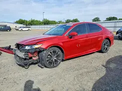 4T1B11HKXKU213384 2019 TOYOTA CAMRY