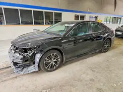 4T1B11HKXKU224837 2019 TOYOTA CAMRY