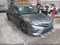 4T1B11HKXKU293768 2019 TOYOTA CAMRY