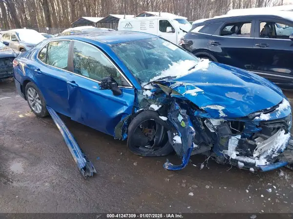 4T1B11HKXKU300492 2019 TOYOTA CAMRY - Image 1