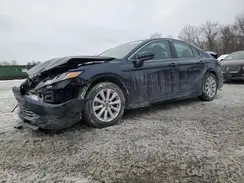 4T1B11HKXKU698383 2019 TOYOTA CAMRY