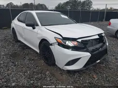 4T1B11HKXKU706000 2019 TOYOTA CAMRY