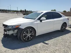 4T1B11HKXKU707602 2019 TOYOTA CAMRY