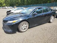 4T1B11HKXKU716901 2019 TOYOTA CAMRY