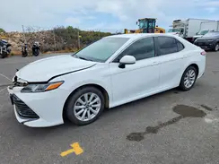4T1B11HKXKU723329 2019 TOYOTA CAMRY