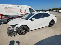 4T1B11HKXKU736033 2019 TOYOTA CAMRY