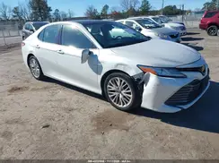 4T1B11HKXKU740356 2019 TOYOTA CAMRY