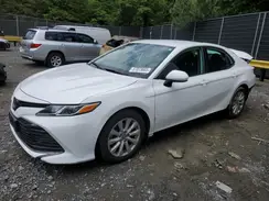 4T1B11HKXKU742558 2019 TOYOTA CAMRY